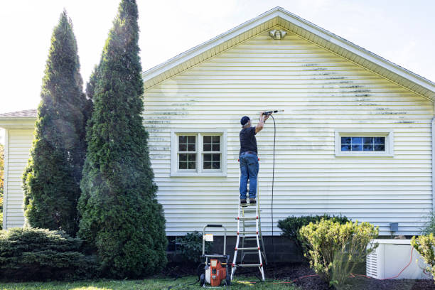 Pre-Holiday Cleaning in Luray, VA